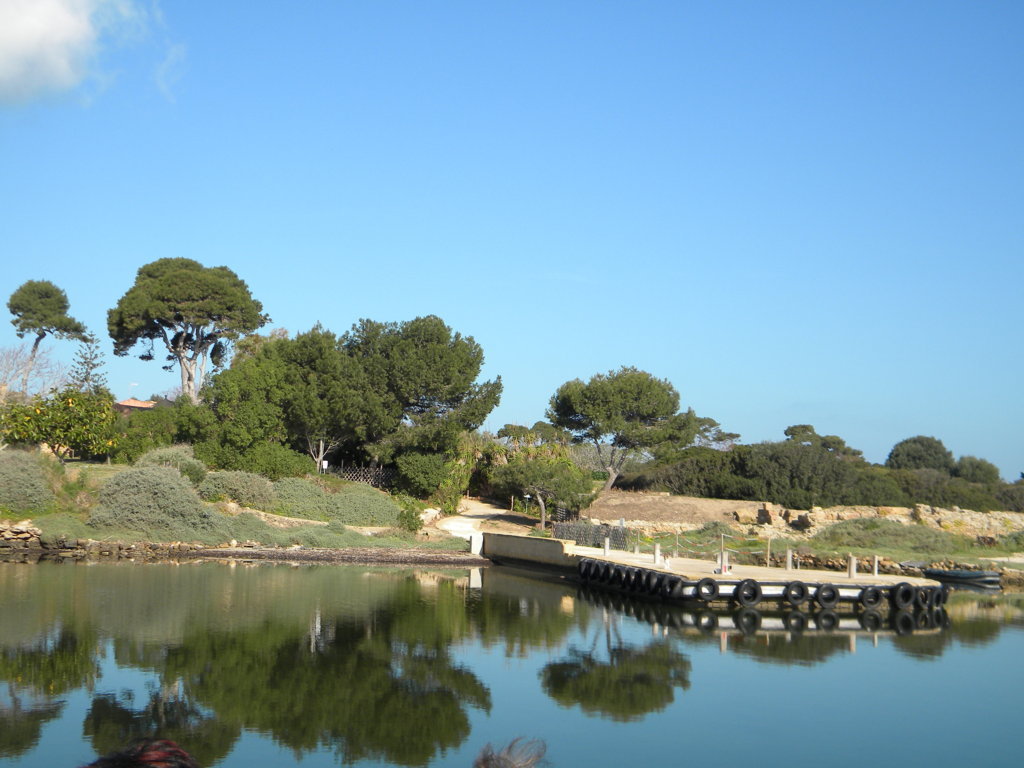 DSCN1858 (FILEminimizer).JPG